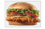 SPICY CHICKEN SANDWICH